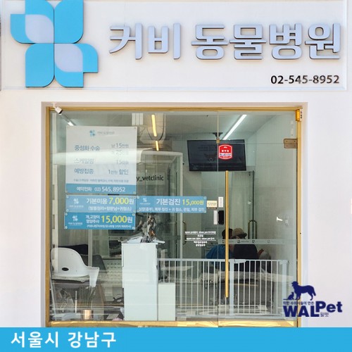 강아지 · 고양이 건강검진 [커비 동물병원]