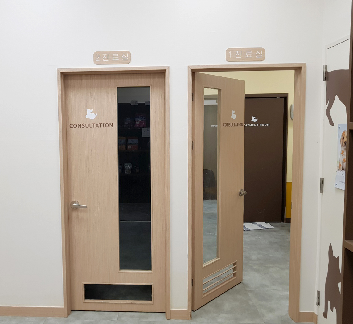 강아지 · 고양이 스케일링 [위즈펫 동물병원 풍산점]