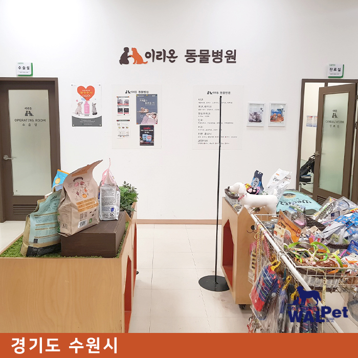 강아지 · 고양이 스케일링[이리온 동물병원]